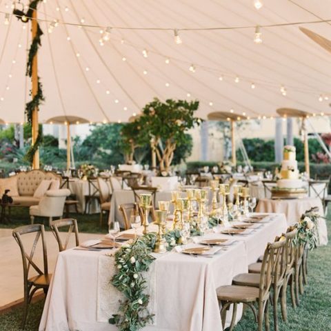 Geelong Wedding Event Hire News Elderberry Event Hire