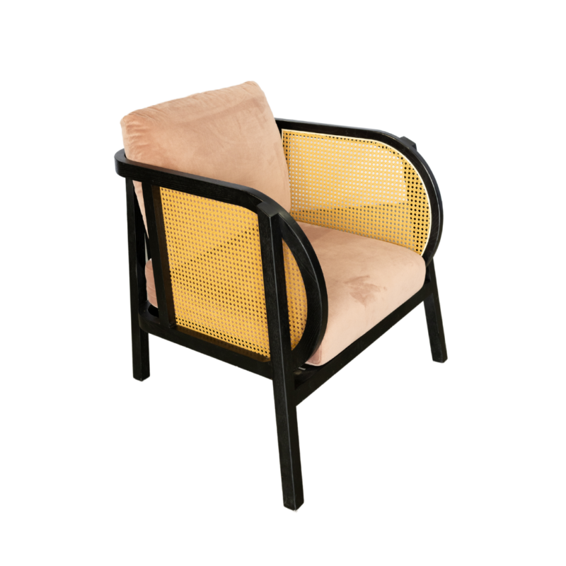 Sutton Black Lounge - Blush Cushions - Image 3