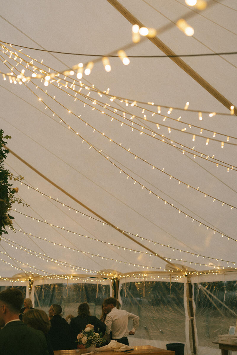 Fairy Lights