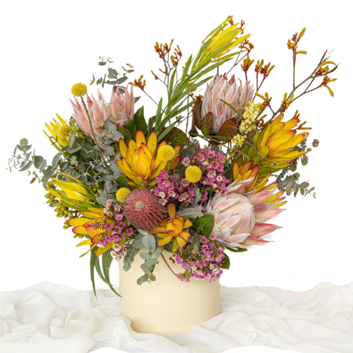 Elderberry Website Product Images (11)