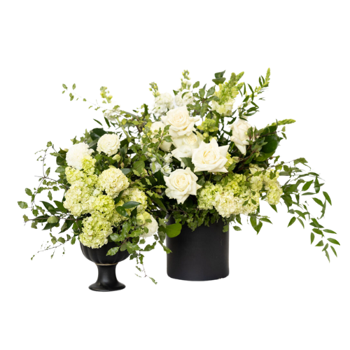 Elderberry Website Product Images (12)