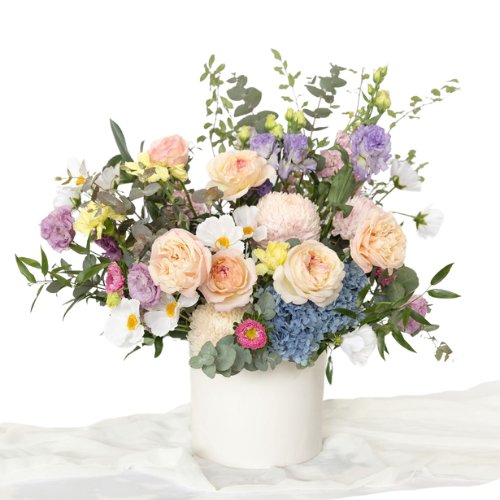 Elderberry Website Product Images (20)