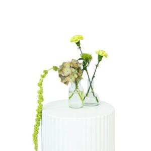 Elderberry Website Product Images (3)