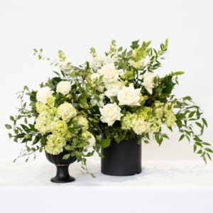 Elderberry Website Product Images (3)