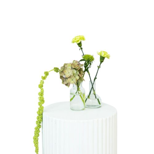 Elderberry Website Product Images (3)