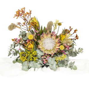 Elderberry Website Product Images (41)