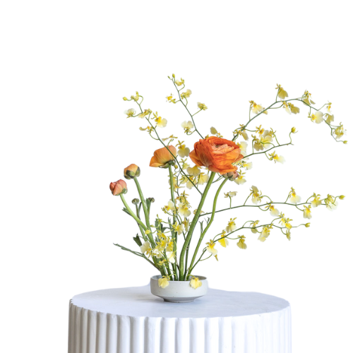 Elderberry Website Product Images (42)