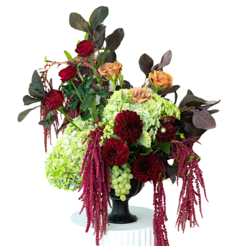 Elderberry Website Product Images (43)