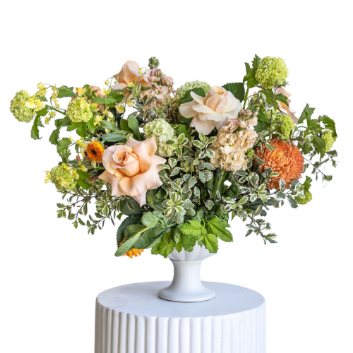 Elderberry Website Product Images (44)