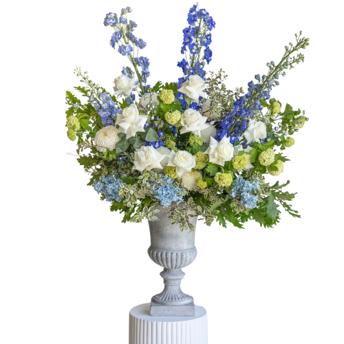 Elderberry Website Product Images (48)