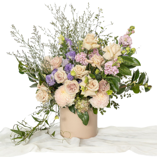 Elderberry Website Product Images (8)