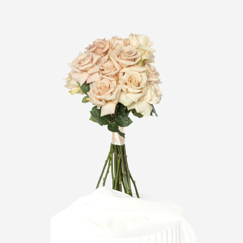 En Masse - Nude Rose F