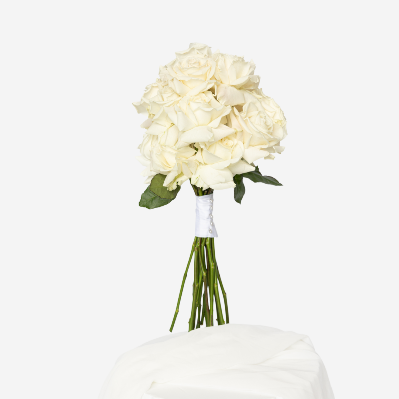 En Masse - White Rose F
