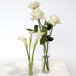 Minimal White & Green Bud Vases