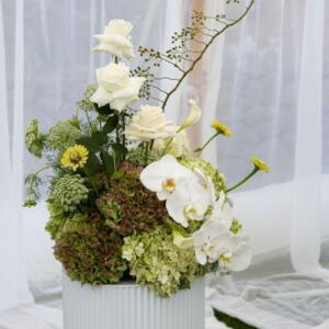 Elderberry Website Product Images (14)