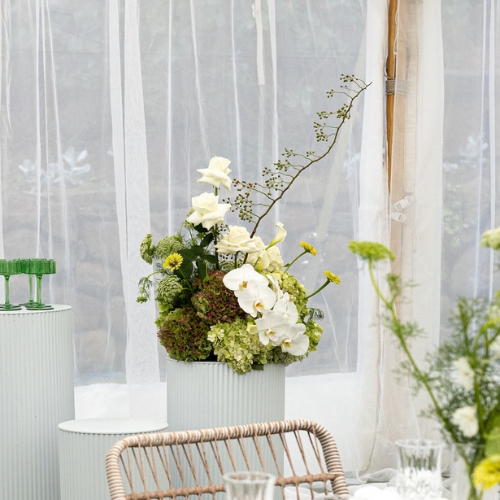 Elderberry Website Product Images (15)
