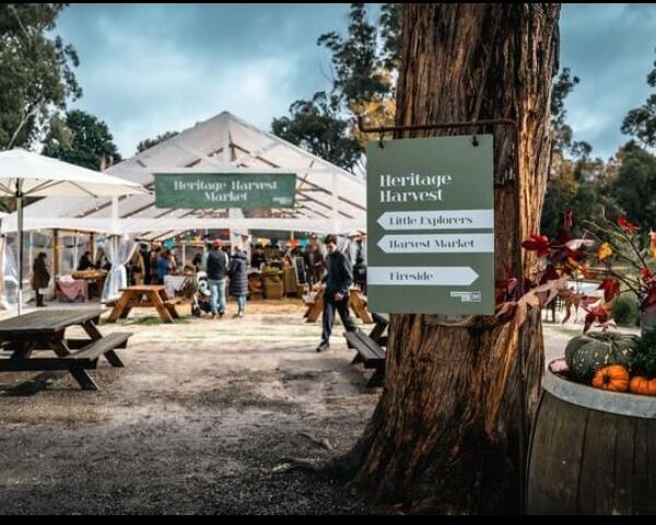 Festivals & Events